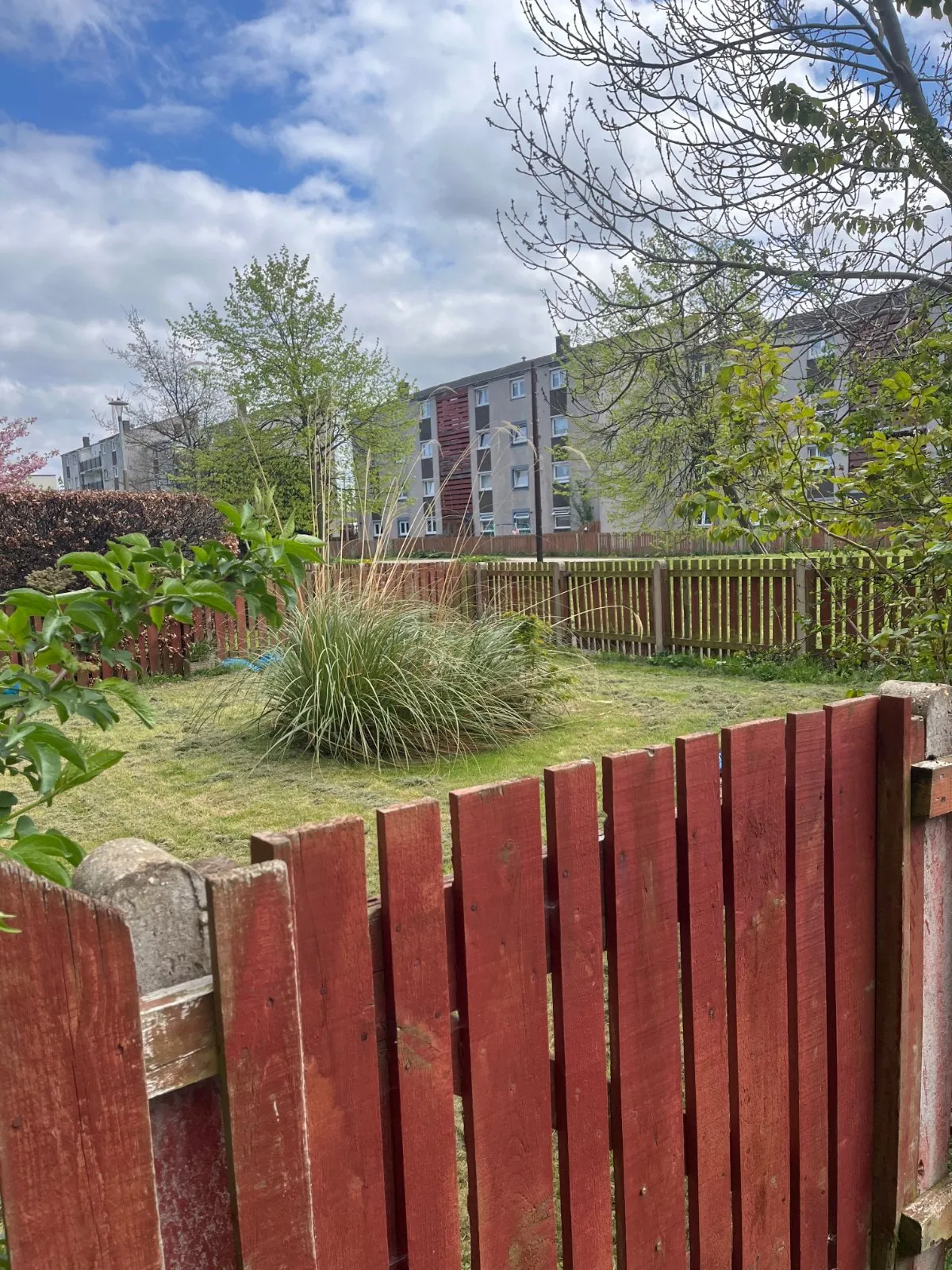 Calder Crescent, Edinburgh, EH11, photo 24