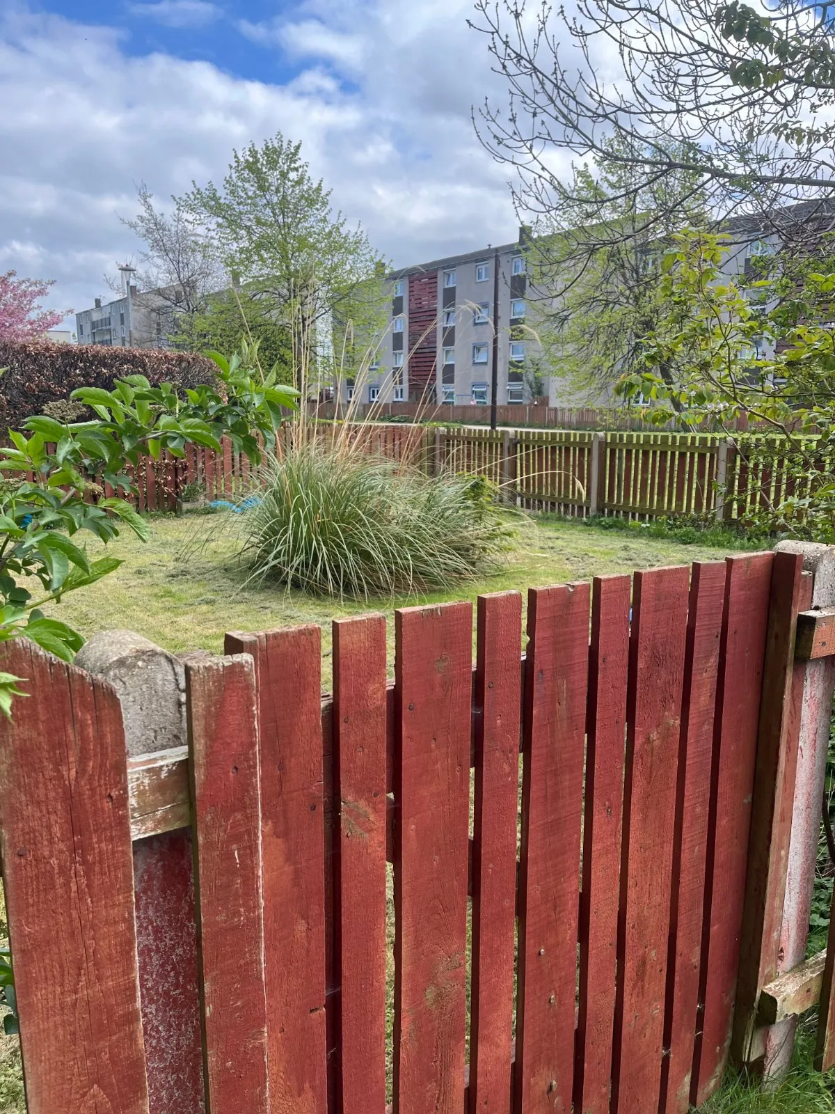 Calder Crescent, Edinburgh, EH11, photo 25