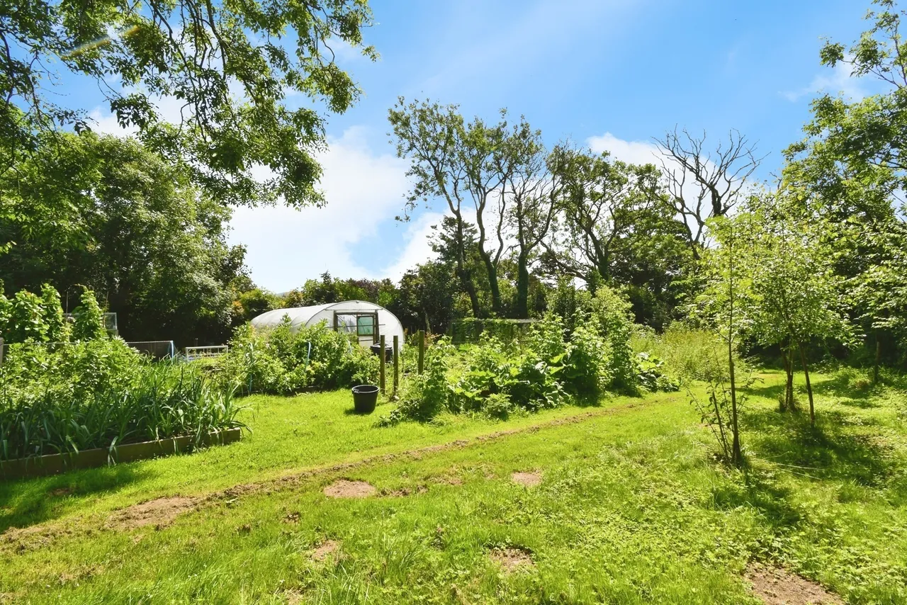 Fishguard, SA65, photo 17