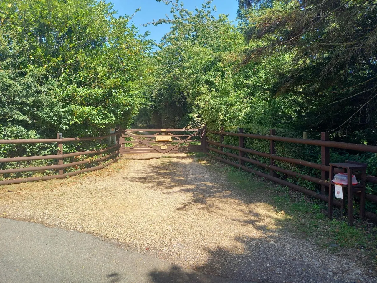 Newchurch, PO36, photo 29