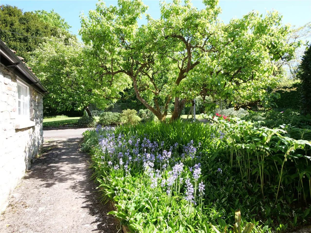 Bishop Sutton, Bristol, photo 31