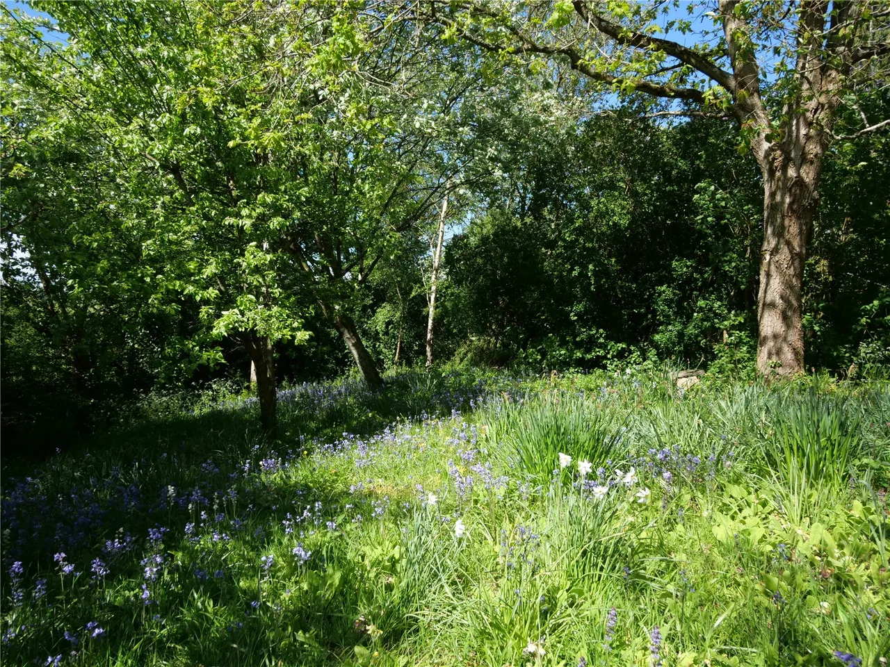 Bishop Sutton, Bristol, photo 42