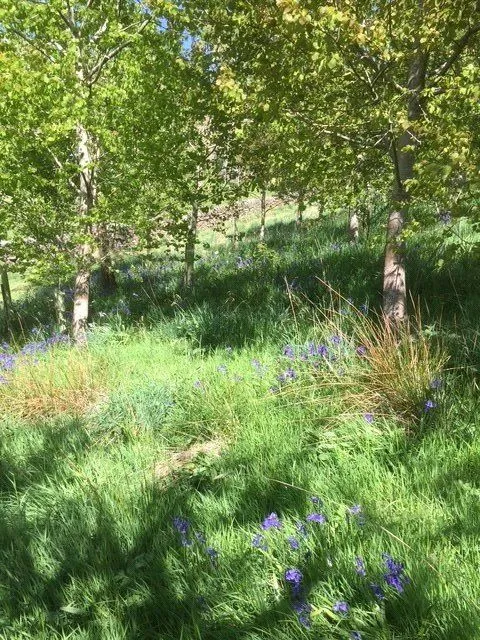 Fell House, Hartley, CA17, photo 25