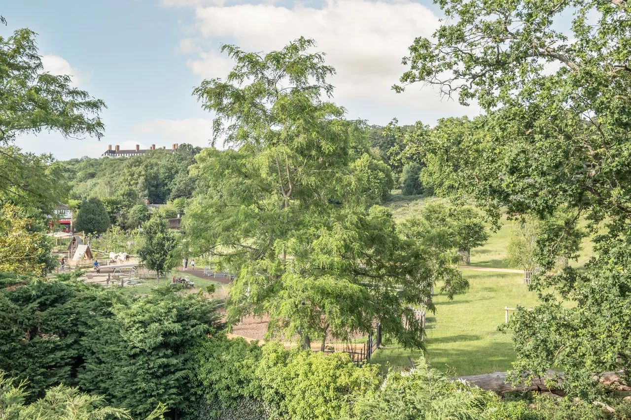 Cedar Heights, Richmond, TW10, photo 2