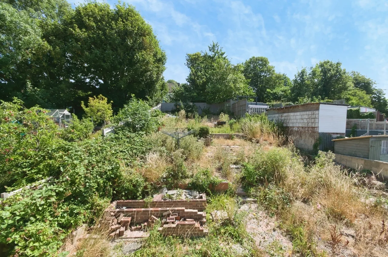 The Avenue, Brighton, BN2, photo 16