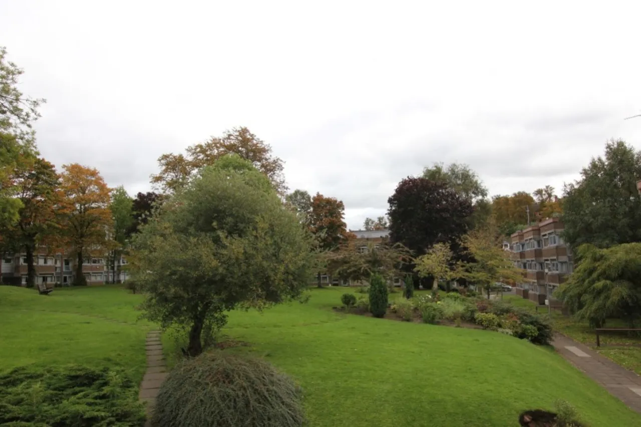 Shawlands, Glasgow, photo 9