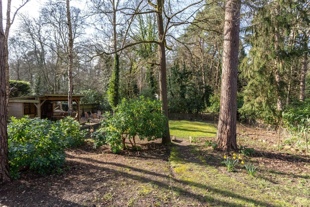 Brooklands Hollybush Ride, Finchampstead, Wokingham, RG40 3QR, photo 16