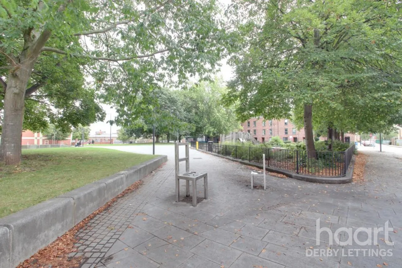 Carrington Street, DE1, photo 10