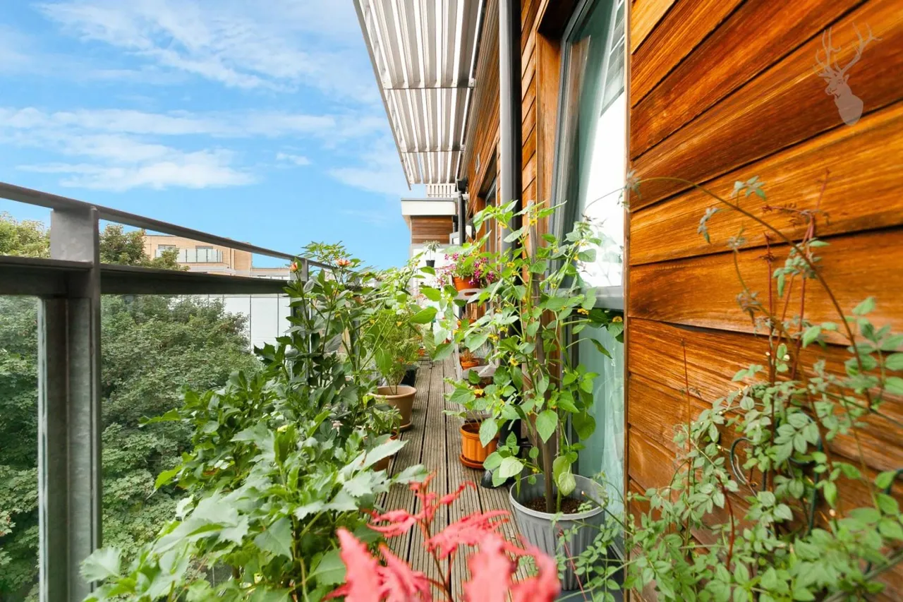 Polydamas Close, London, E3, photo 11