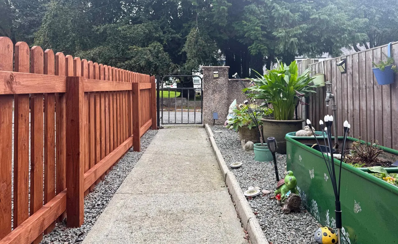 Bryn Llwyd, Bangor, LL57, photo 14