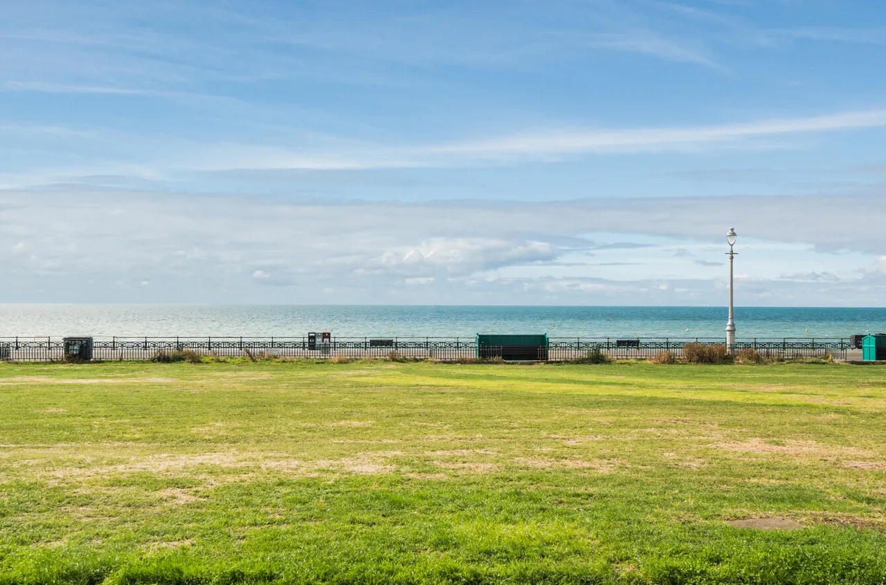 Brunswick Terrace, Hove, BN3, photo 8
