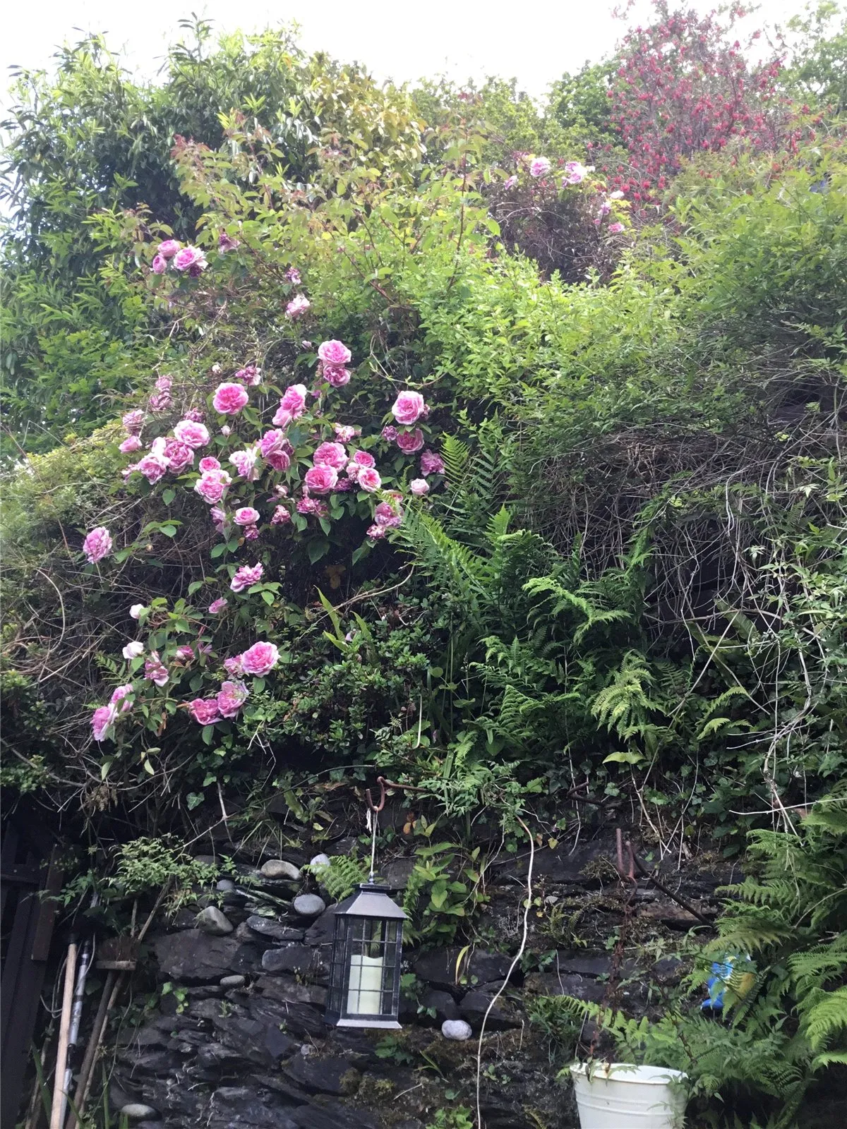 Wesley Terrace, Arthog, photo 20