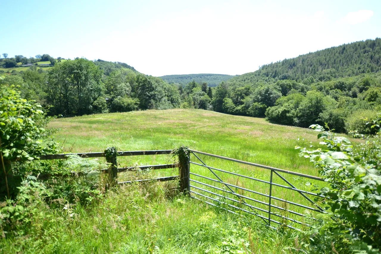 Gwernogle, Carmarthen, SA32, photo 4