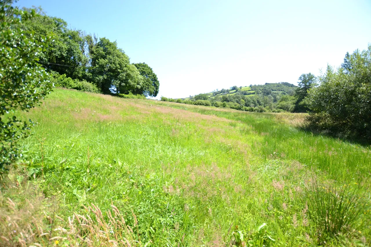 Gwernogle, Carmarthen, SA32, photo 21