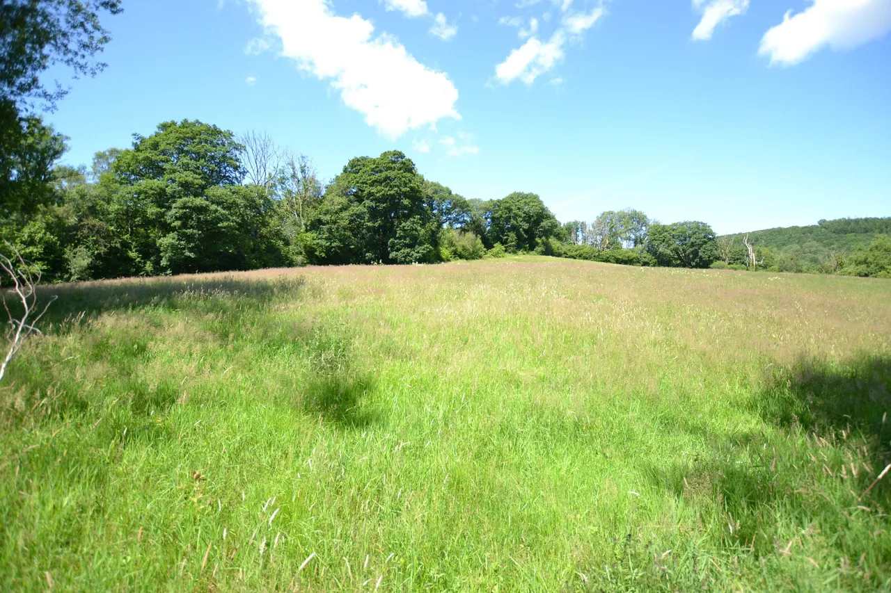 Gwernogle, Carmarthen, SA32, photo 20
