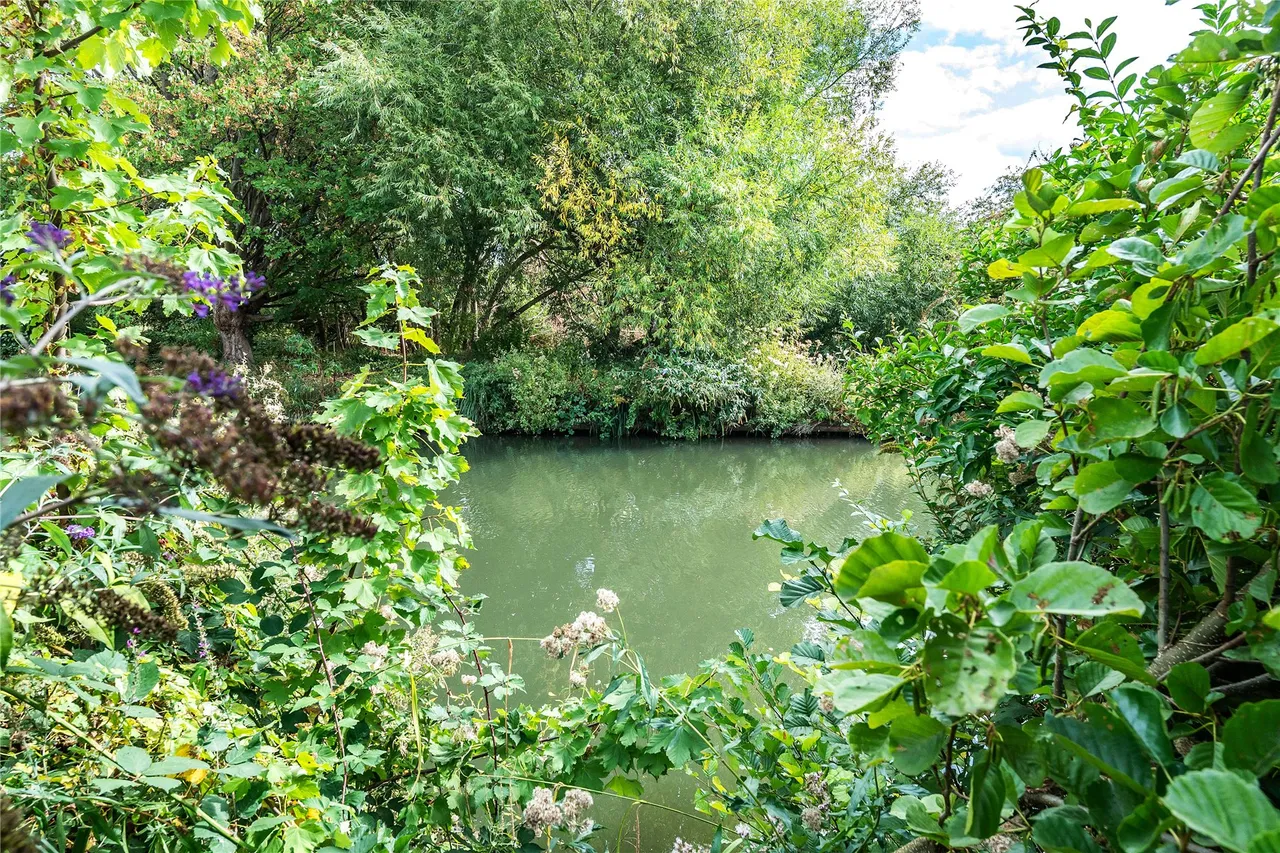 Weyside Road, Guildford, GU1, photo 15