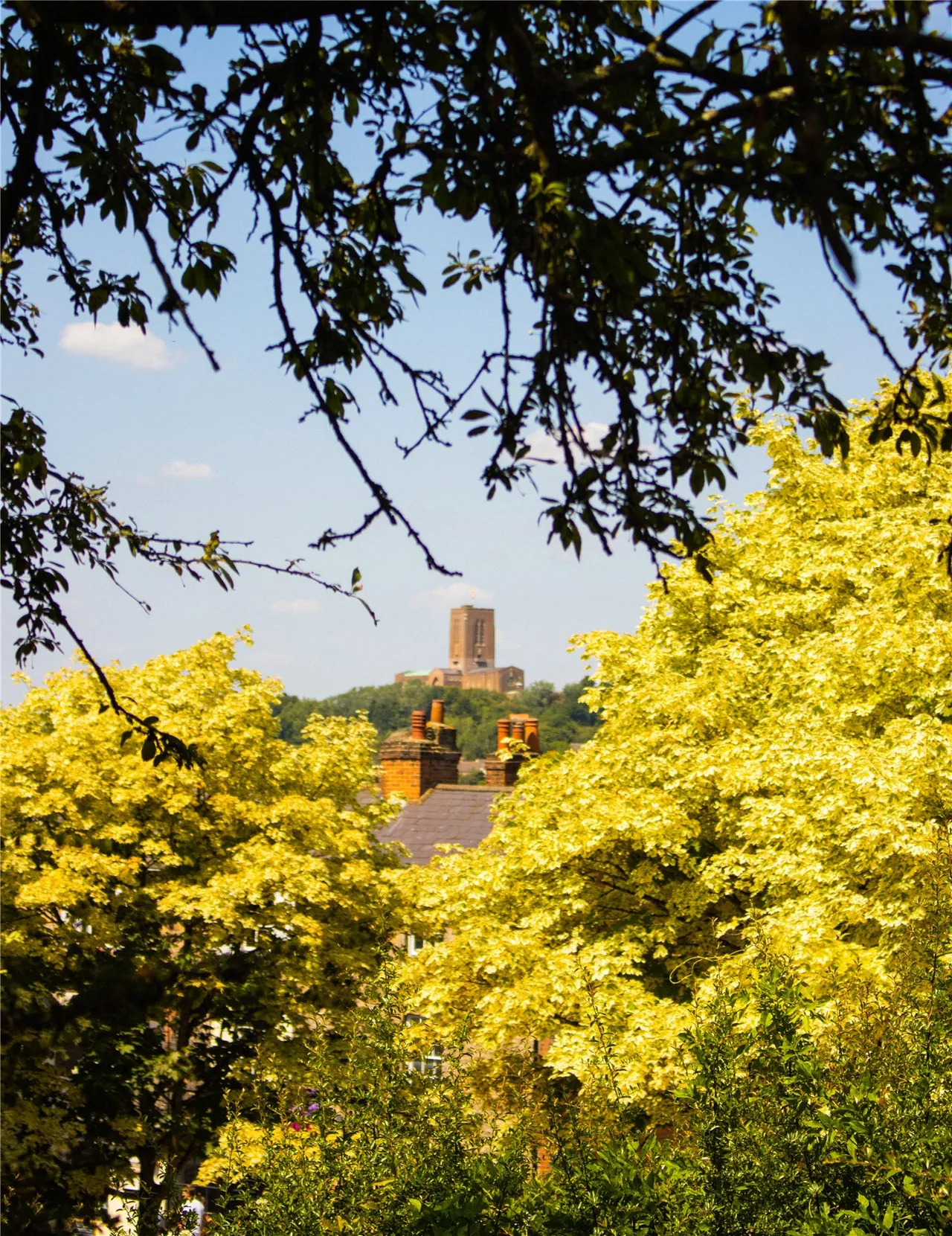 Weyside Road, Guildford, GU1, photo 25