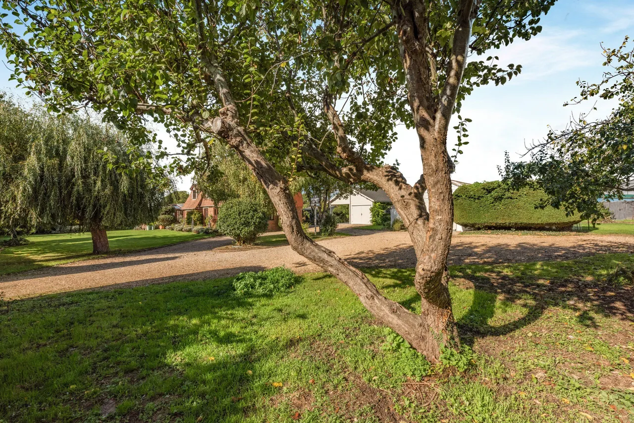 Lockgate Road, Sidlesham Common, PO20, photo 22