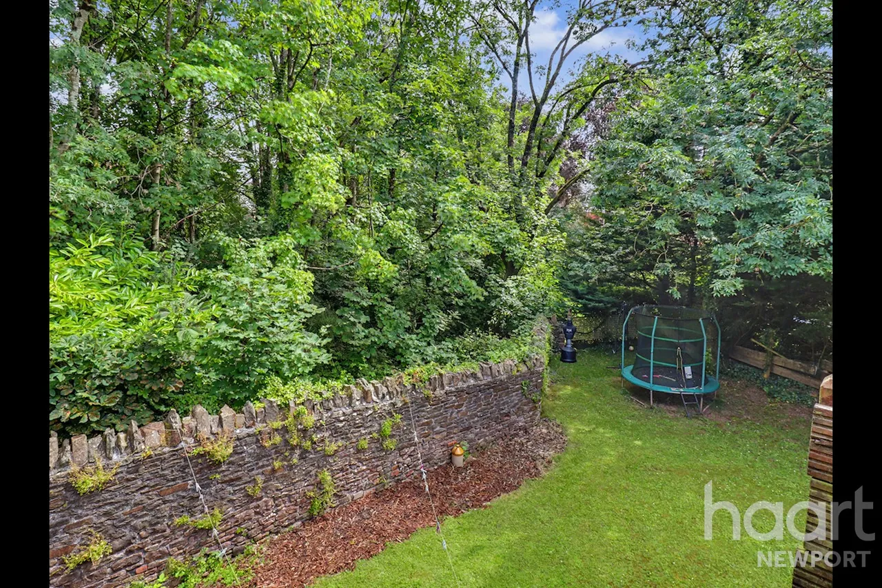 Fields Park Road, Newport, NP20, photo 20