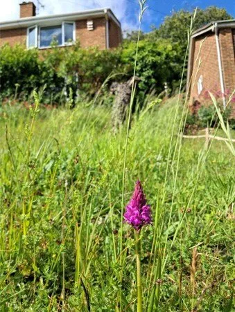 Templeside, Temple Ewell, Dover, Kent, CT16, photo 22