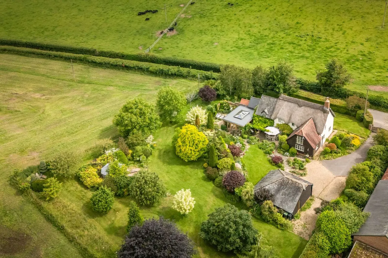Stubhampton, Blandford Forum, DT11, photo 14