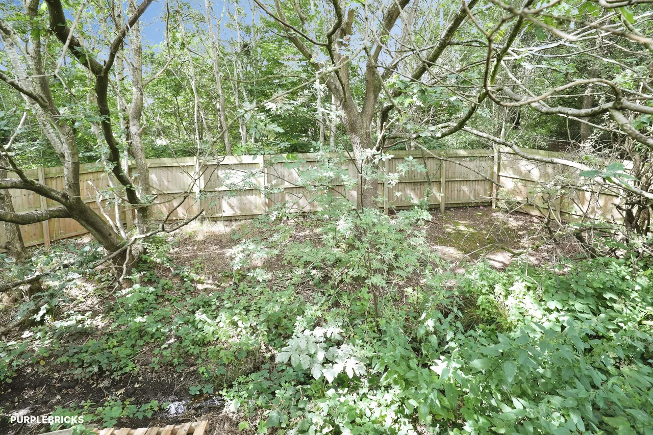 Stafford Avenue, Newcastle, ST5, photo 30