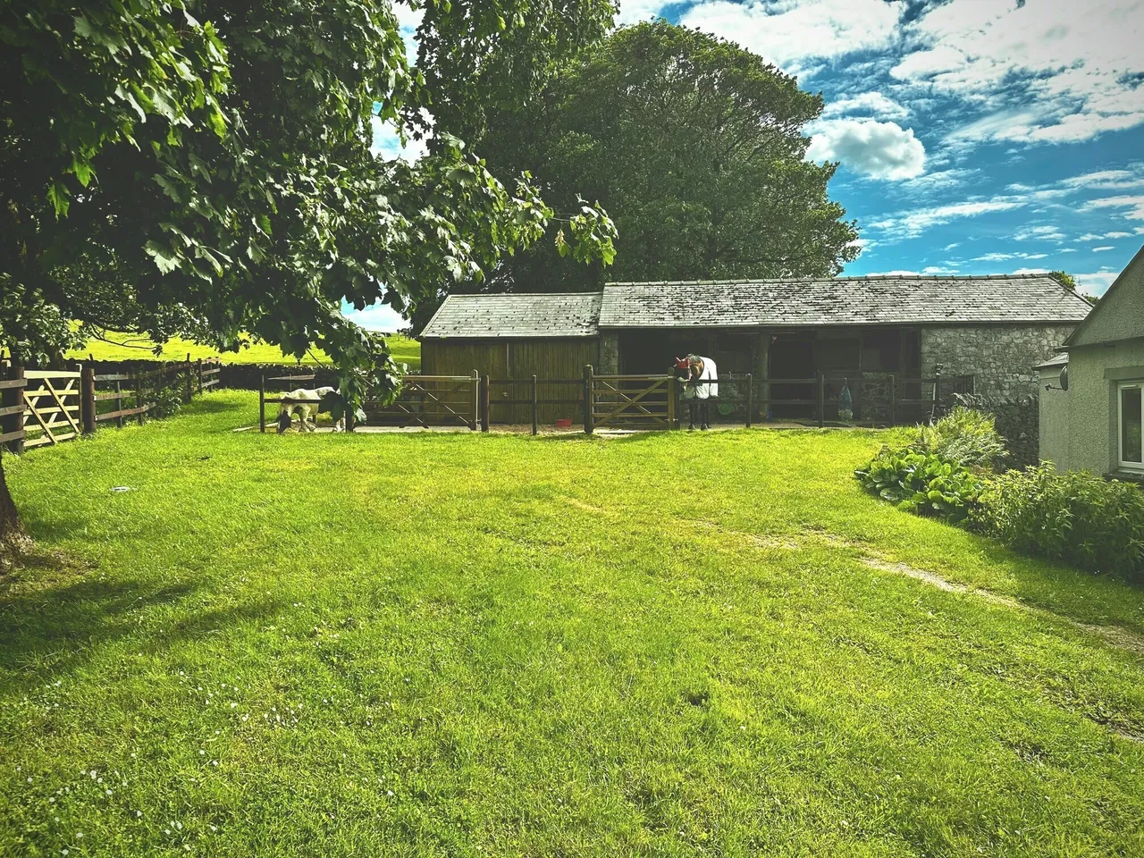The Ditch, Chelmorton, SK17, photo 23