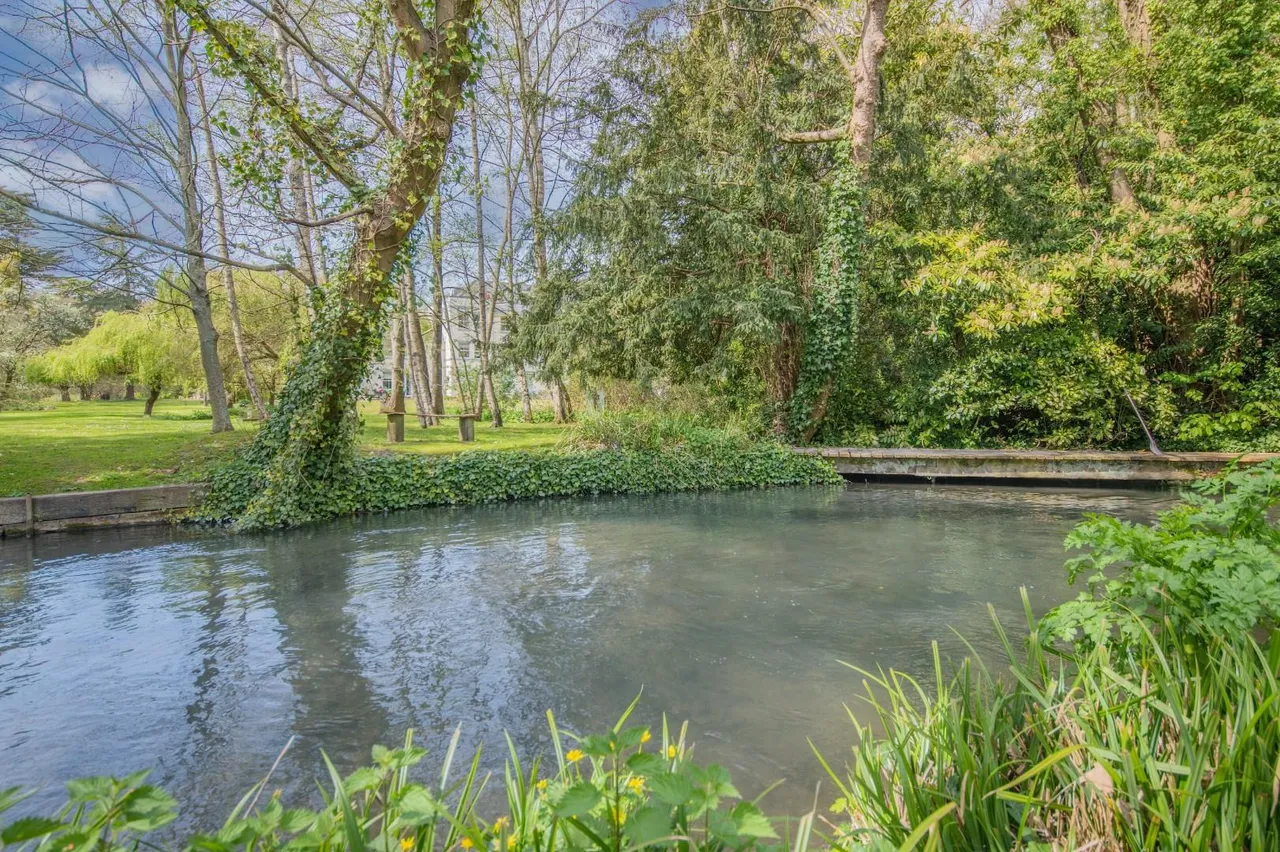 Bishopstoke Road, Eastleigh, SO50 6LA, photo 8