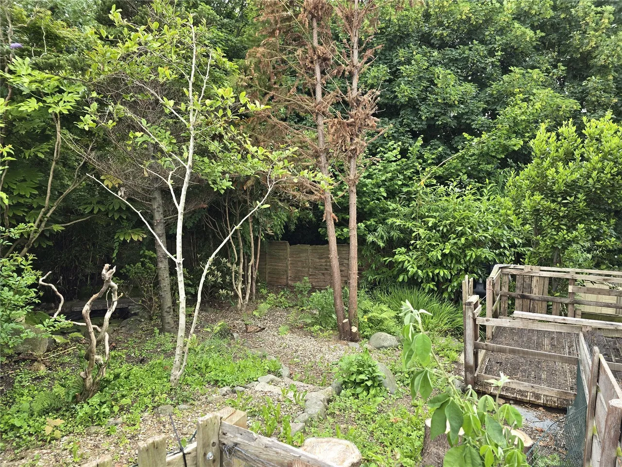 Llanwnda, Caernarfon, LL54, photo 19