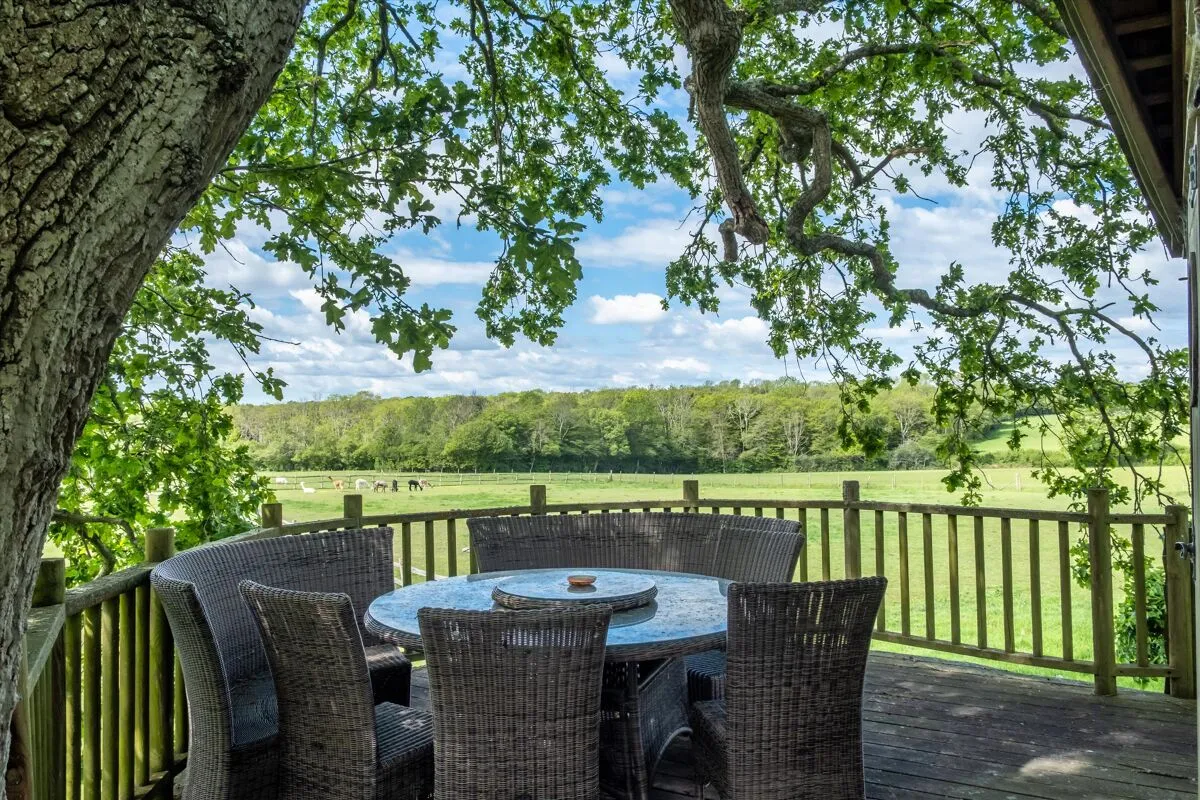 Sheffield Green, Fletching, TN22, photo 47