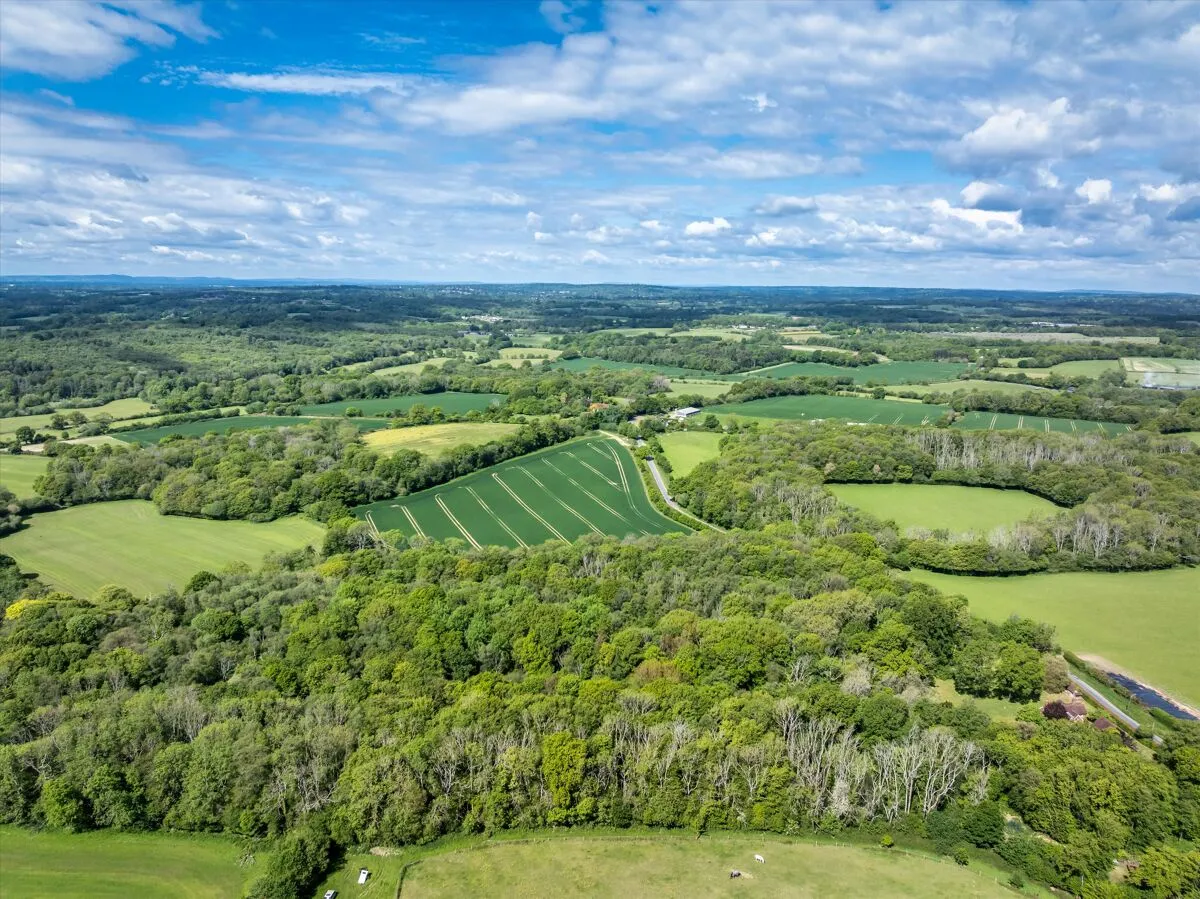 Sheffield Green, Fletching, TN22, photo 55
