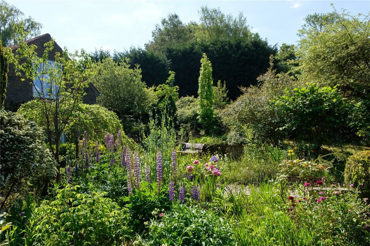 Whitchurch Canonicorum, Bridport, DT6, photo 36