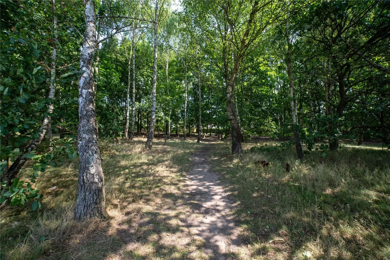 Lindhurst Lane, Mansfield, Nottinghamshire, NG18, photo 16