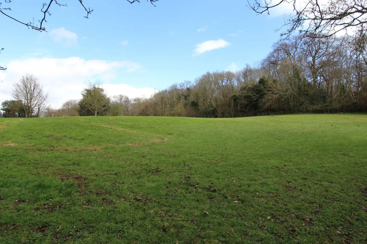 Main Road, Cleeve, BS49, photo 22