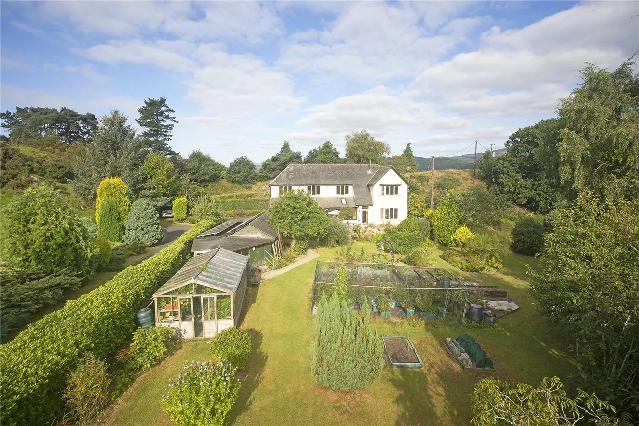 Machynlleth, Powys, photo 38