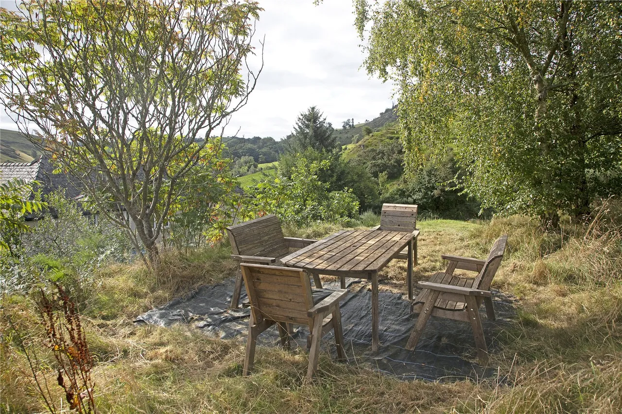 Machynlleth, Powys, photo 33