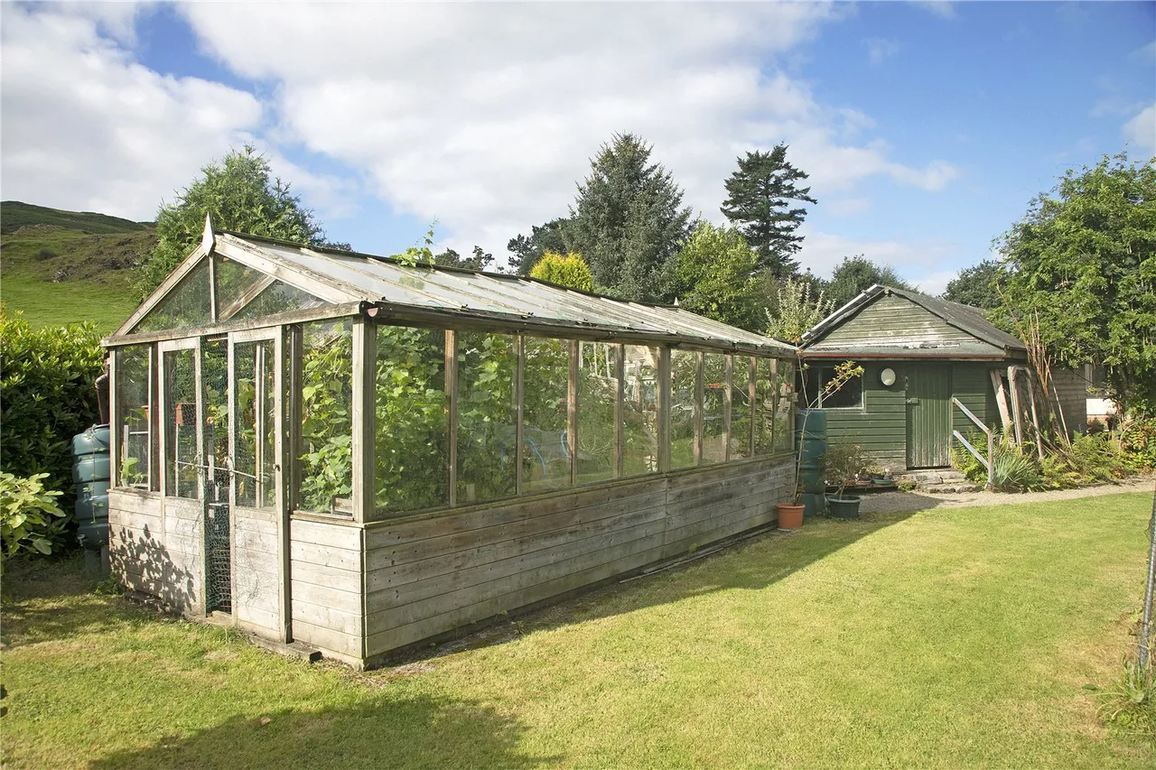 Machynlleth, Powys, photo 32