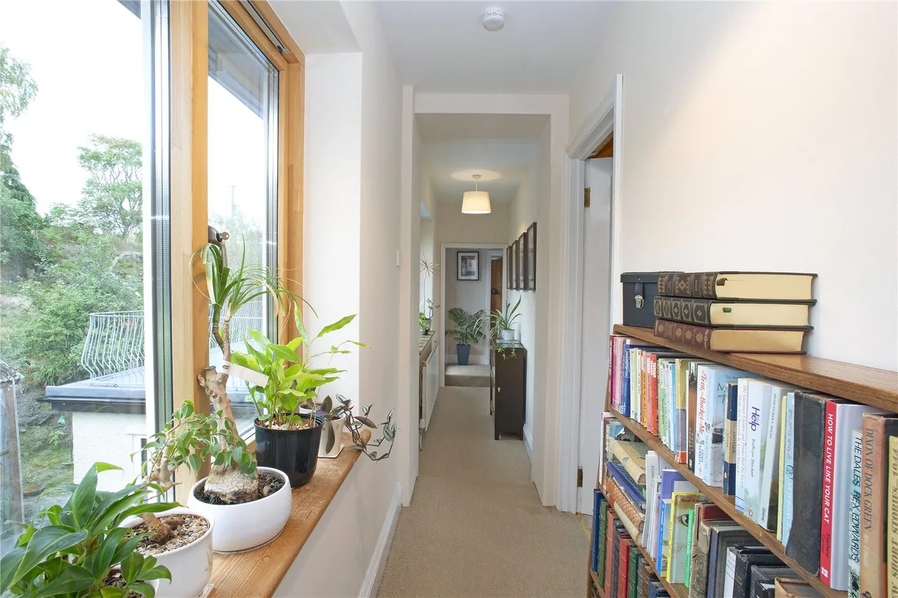Machynlleth, Powys, photo 14