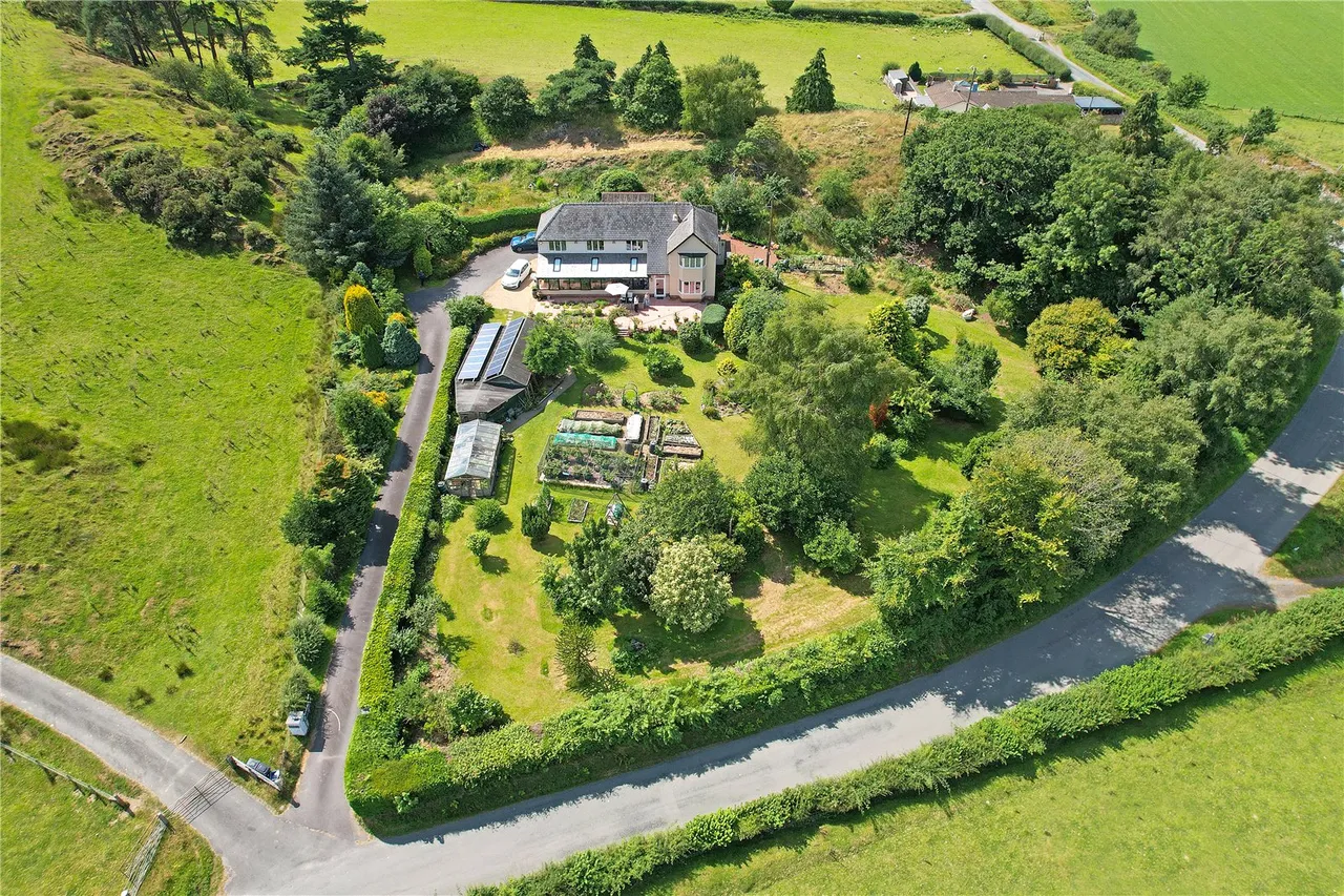 Machynlleth, Powys, photo 40