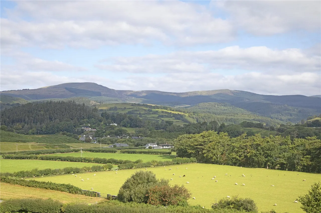 Machynlleth, Powys, photo 35