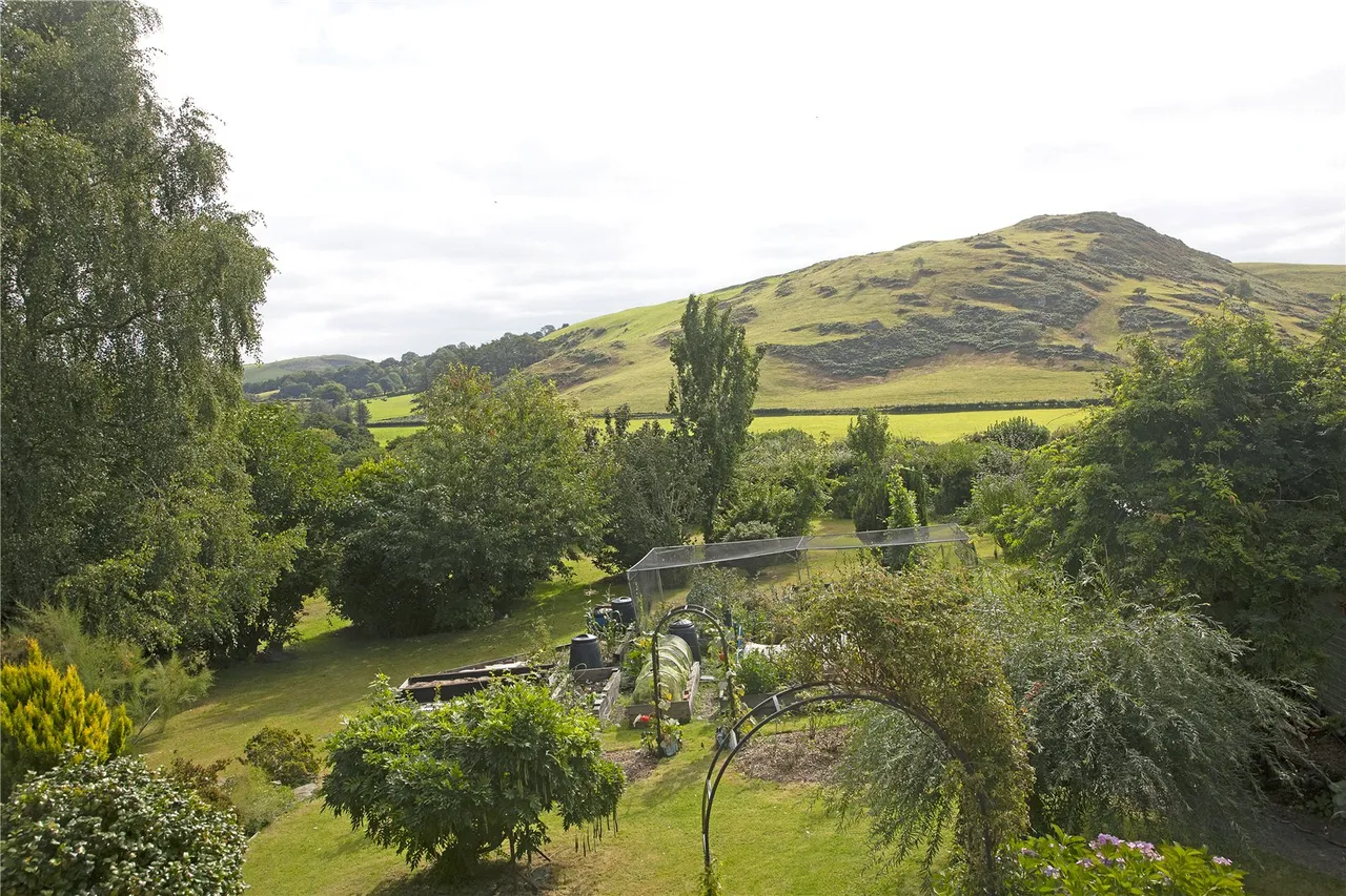Machynlleth, Powys, photo 3