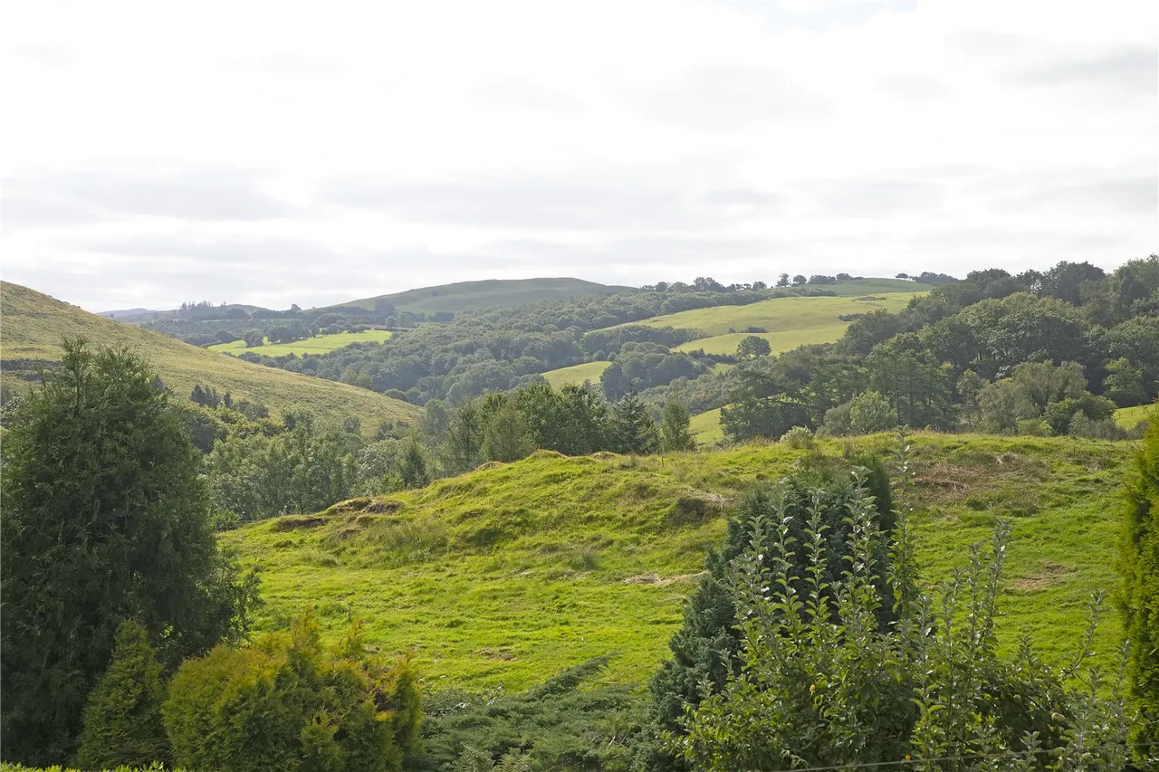 Machynlleth, Powys, photo 36