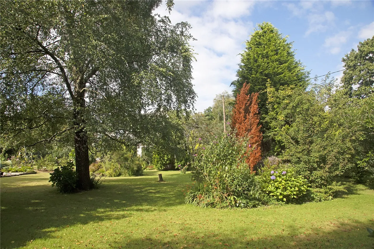 Machynlleth, Powys, photo 31