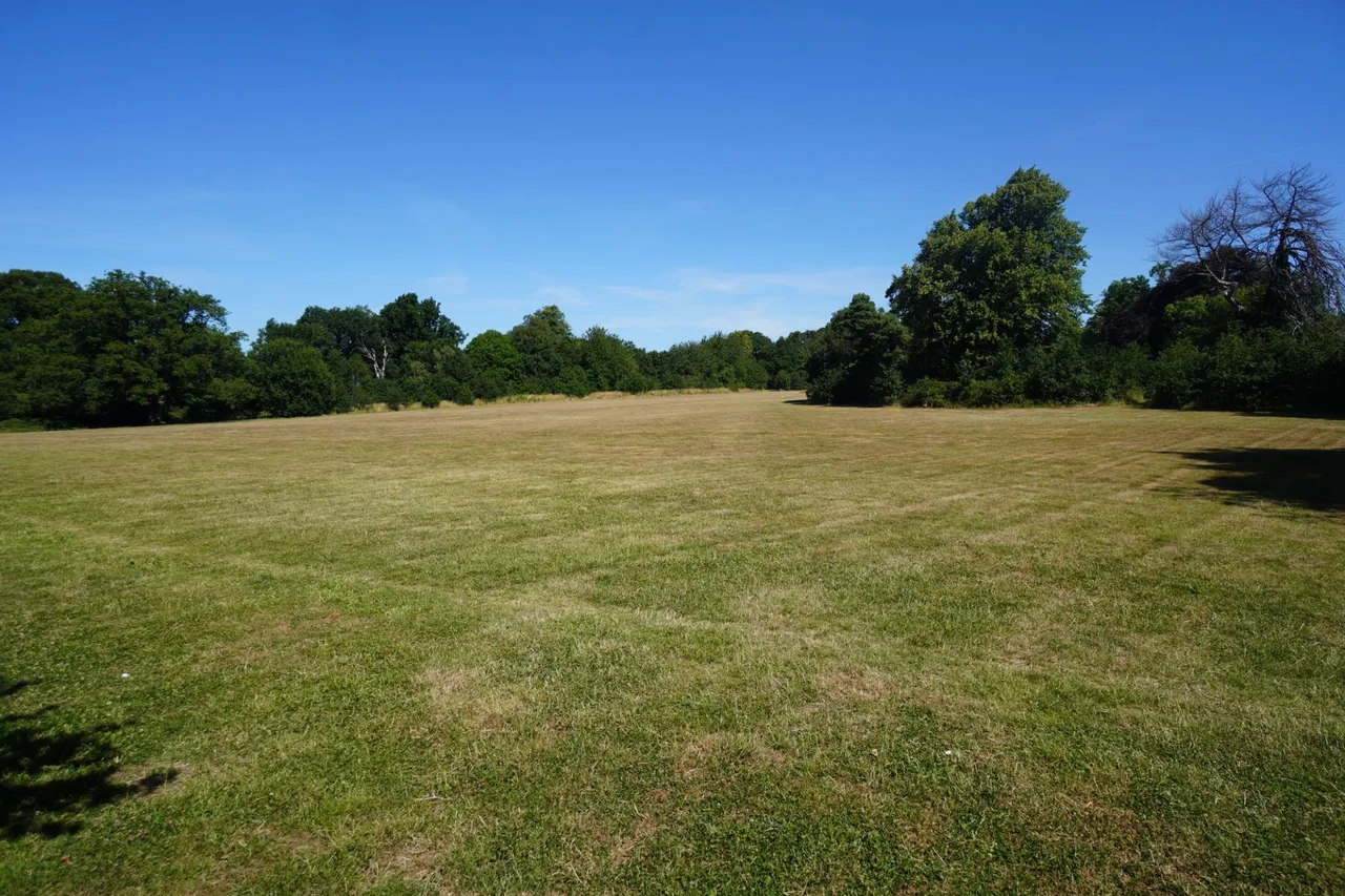 Wellesbourne Crescent, High Wycombe, HP13, photo 7