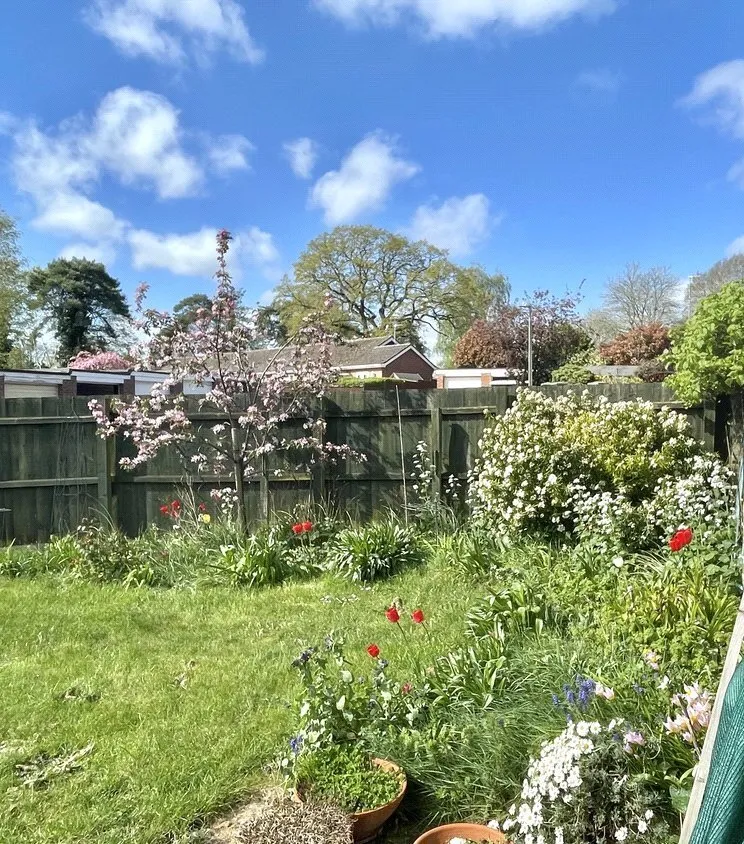 Cavendish Close, Thurston, Bury St. Edmunds, Suffolk, IP31, photo 13