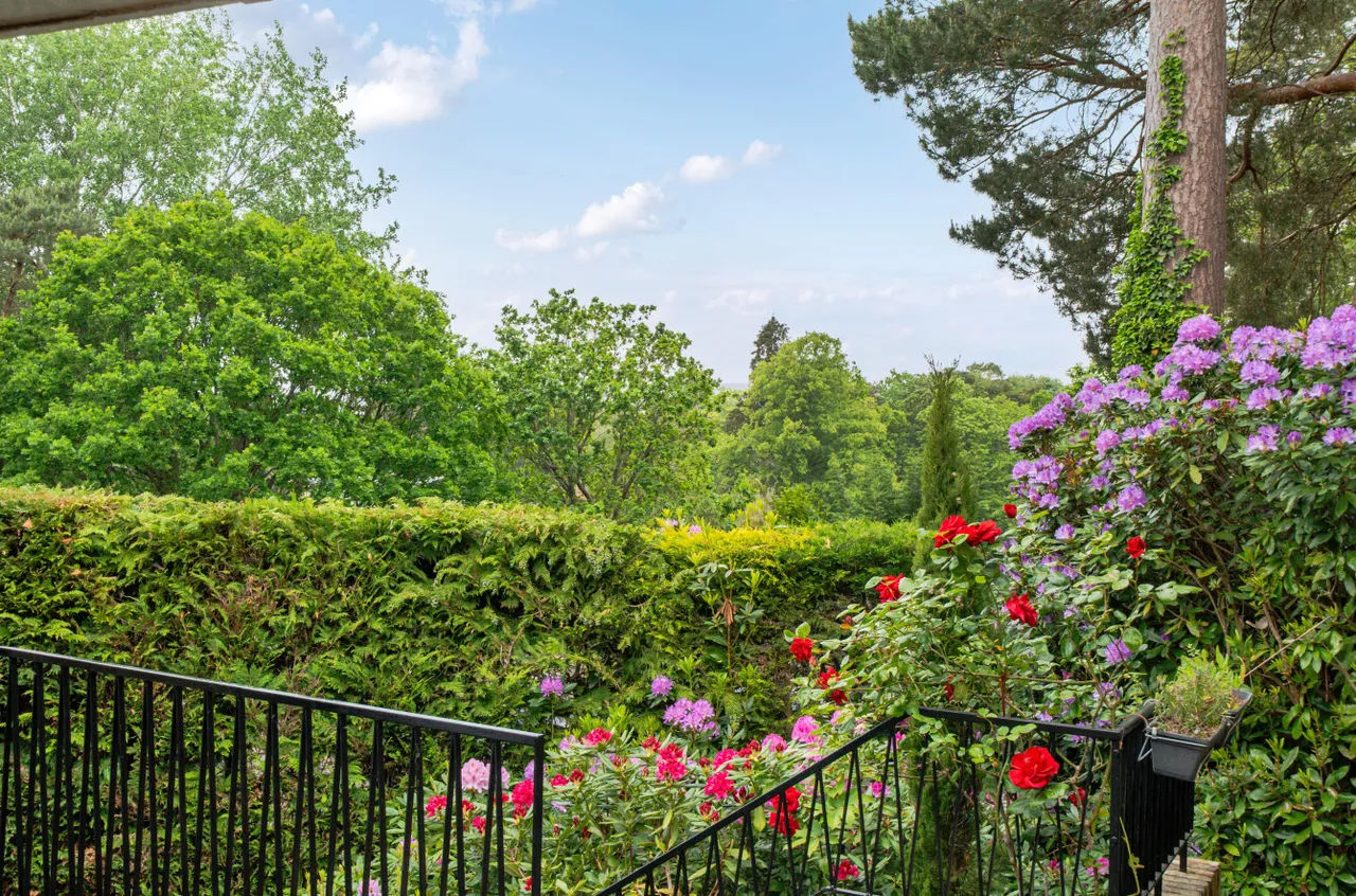 Oriel Hill, Camberley, Surrey, GU15 2JW, photo 25