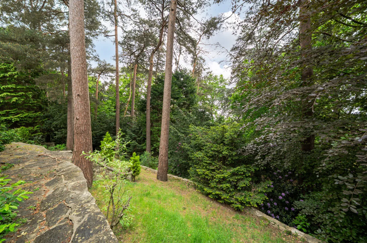 Oriel Hill, Camberley, Surrey, GU15 2JW, photo 24