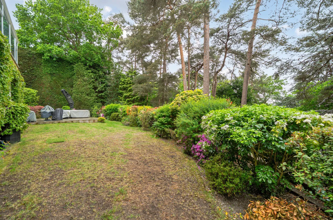 Oriel Hill, Camberley, Surrey, GU15 2JW, photo 23