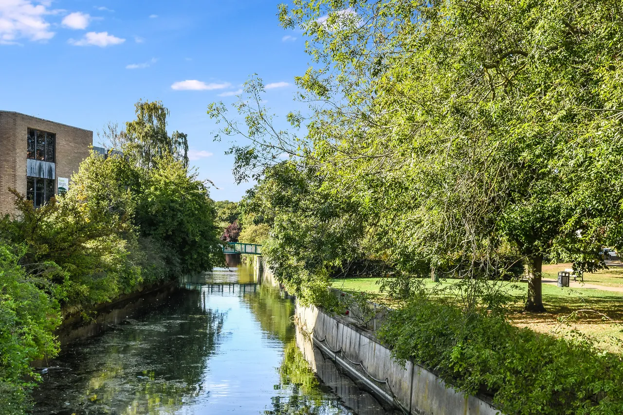 New Bridge House, Chelmsford, CM2, photo 9