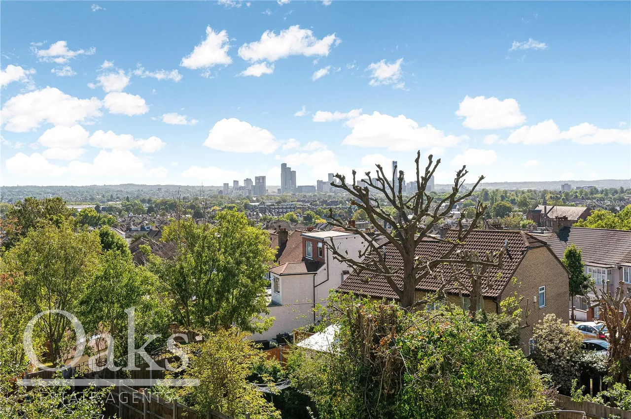 Ross Road, South Norwood, SE25, photo 10